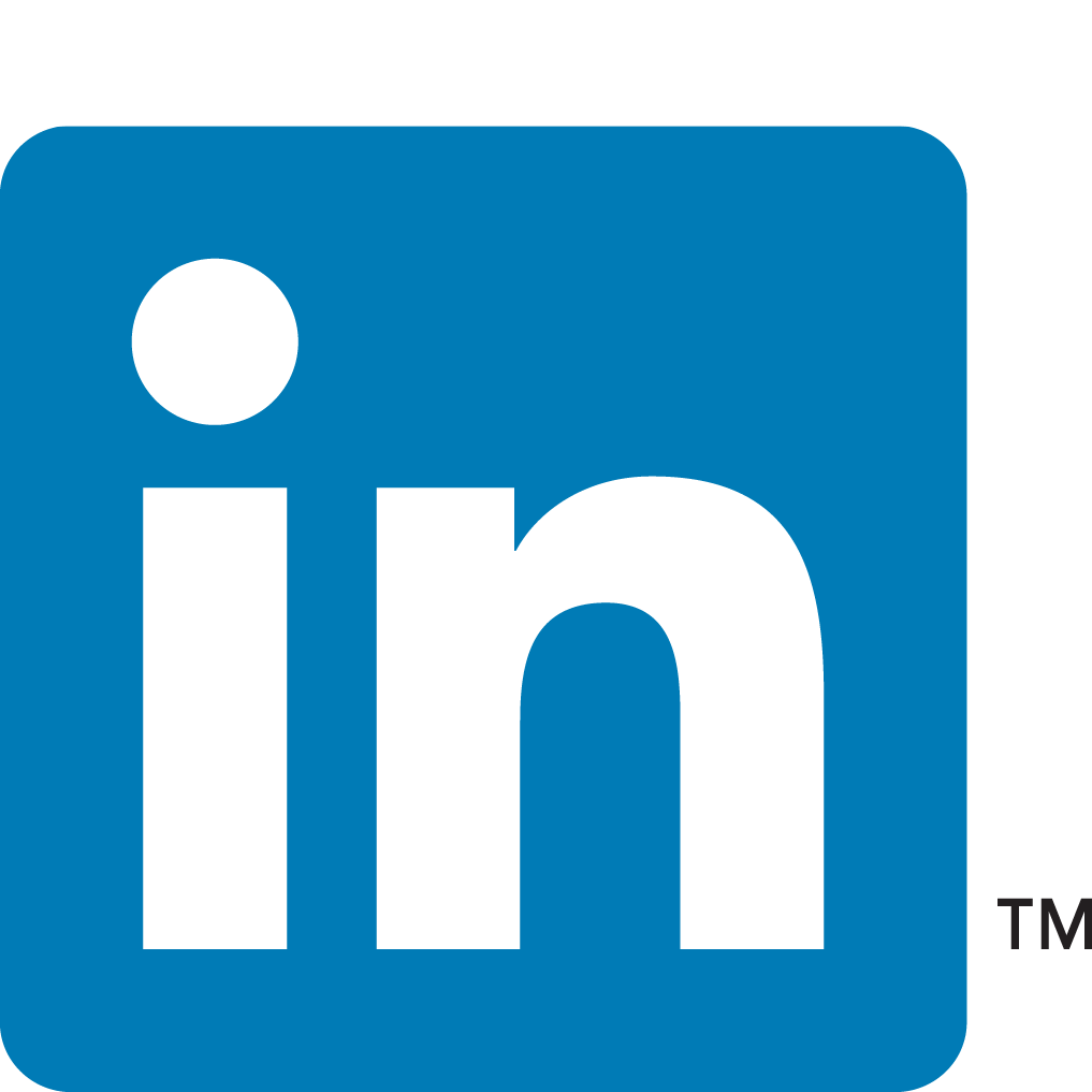 LinkedIn icon large