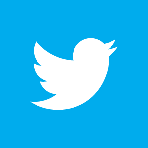 Twitter icon large